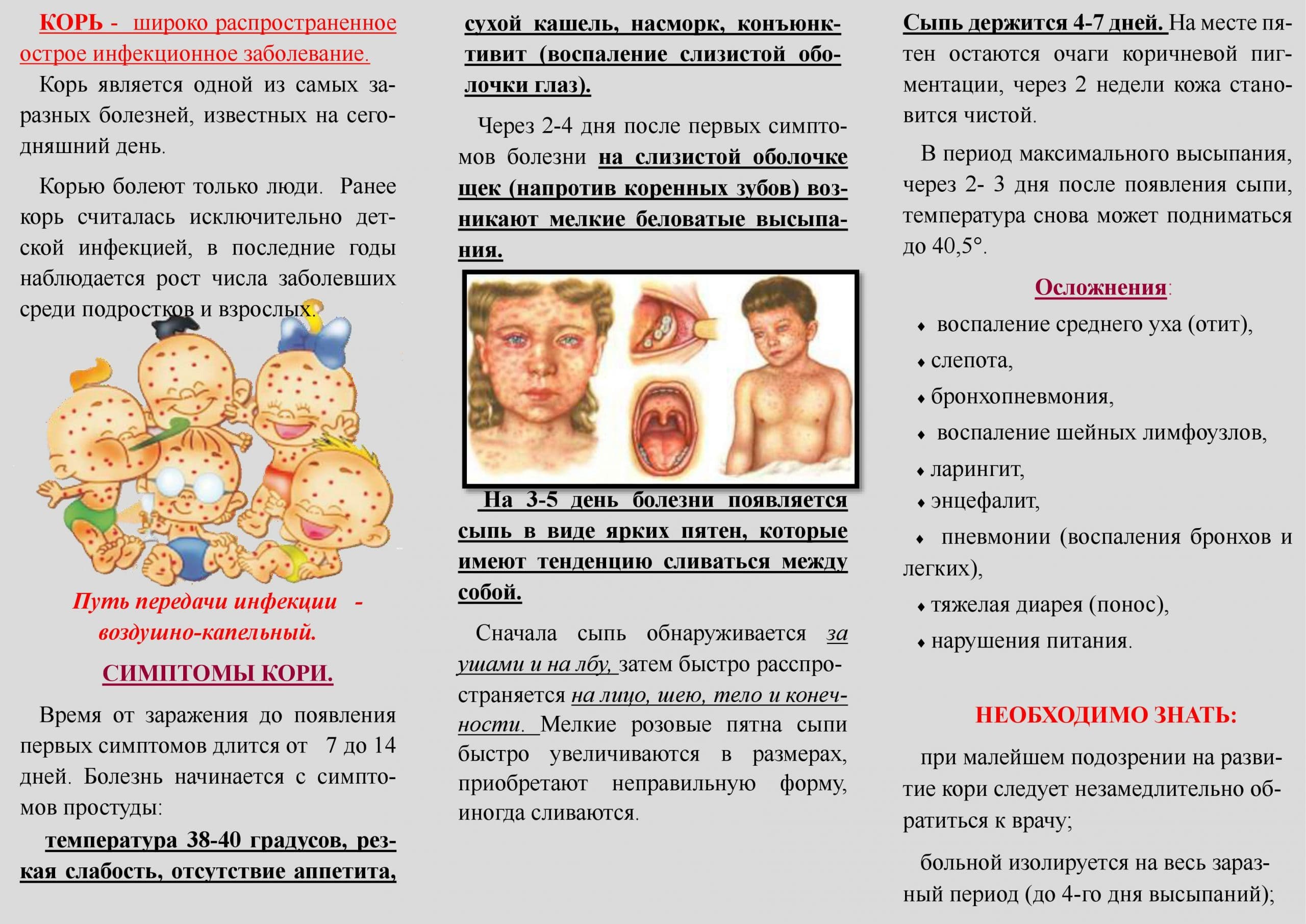 Профилактика кори.