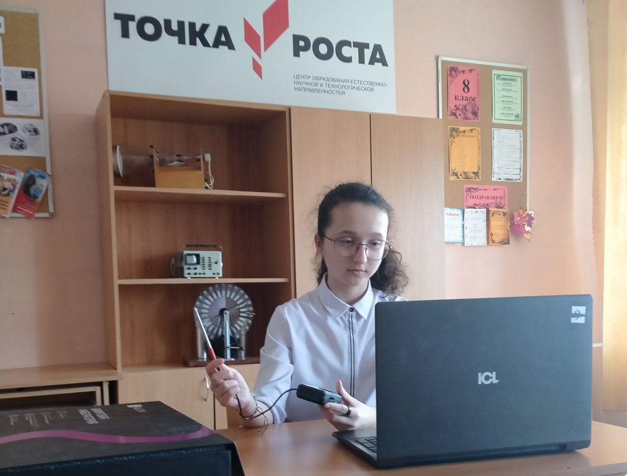 Итоговый исследовательский проект.