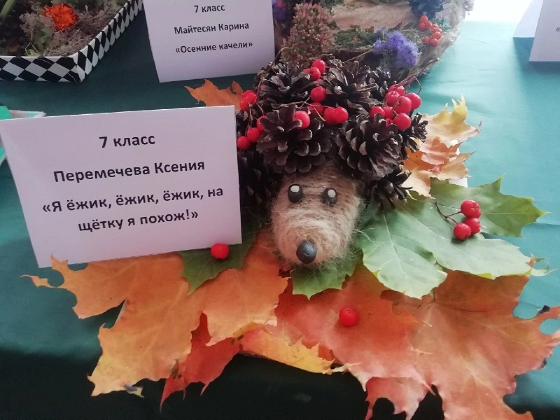 Дары осени.