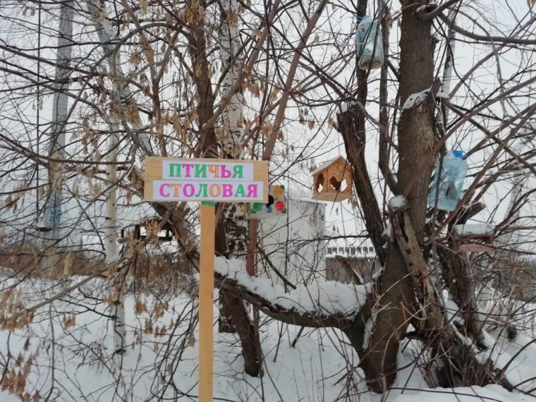 Птичья столовая.